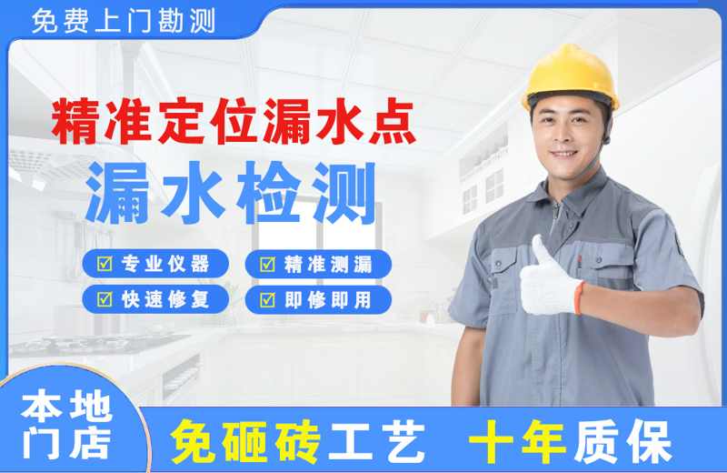 云龙精准测漏点